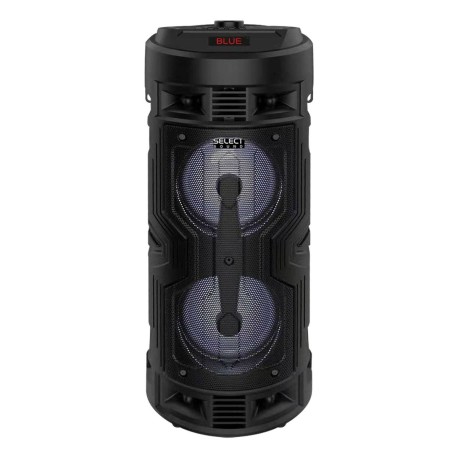 Bocina Select Sound 4X2' PLG negra